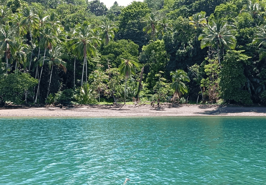 Cabinas Golfo Aventuras imagen 4