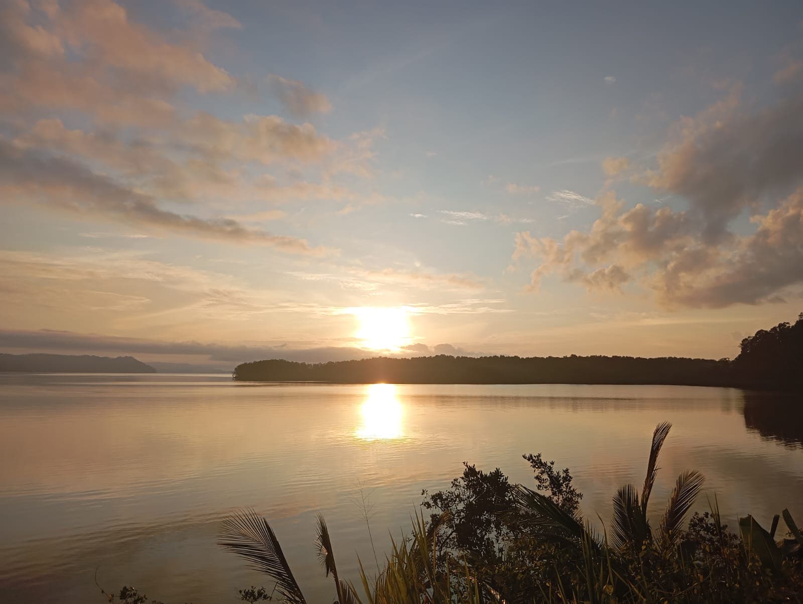 Cabinas Golfo Aventuras imagen 7