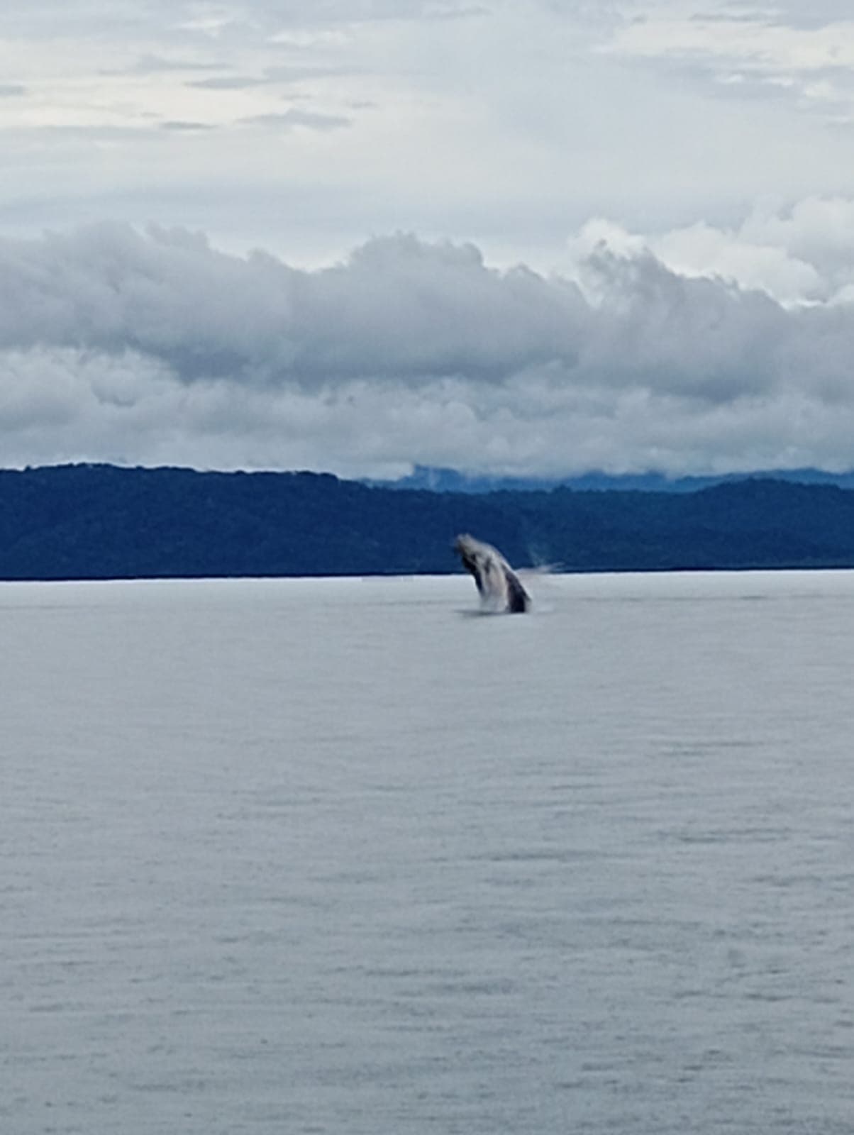 Cabinas Golfo Aventuras galeria inferior 2